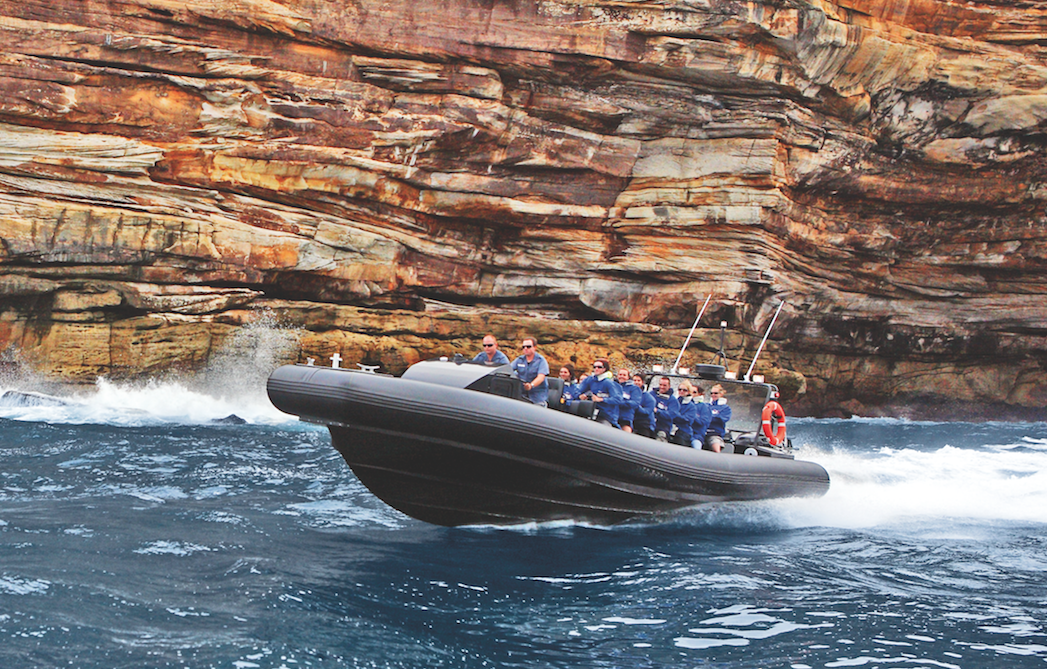 Bondi Beach Coastline Tour 